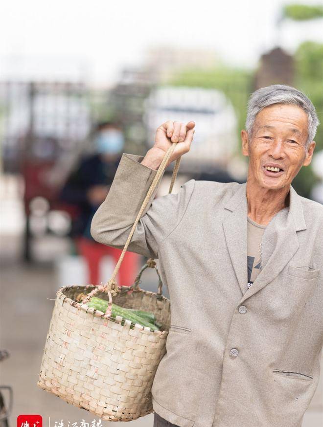 桑麻黑毛节瓜上市啦！快来漫步古村落，品尝地道顺德味_种植_苏国健_销售