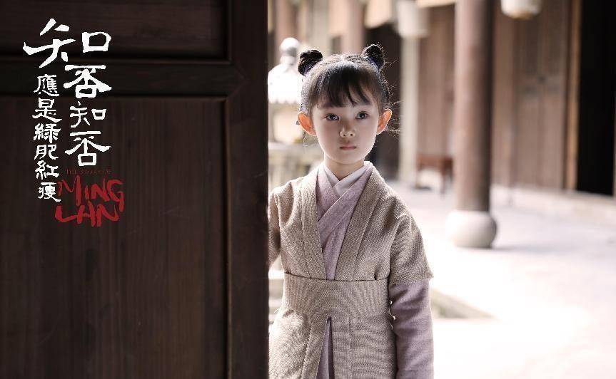 知否選角一波三折,帶資進組輸給農村女星,反派竟是被導演騙來的