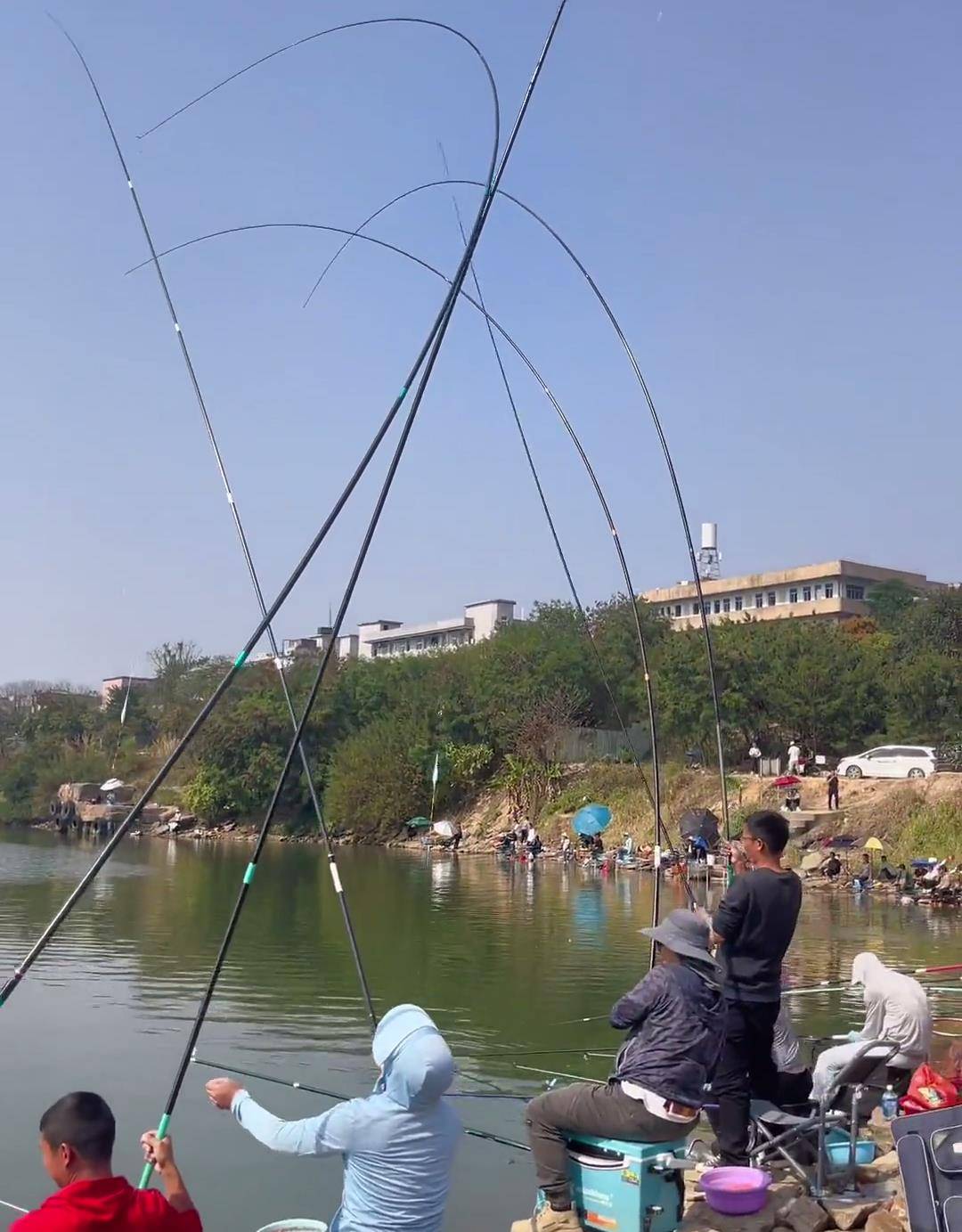 惠州东江掀"钓鱼狂潮",江边到处人挤人_鲢鳙_钓鱼人_钓友