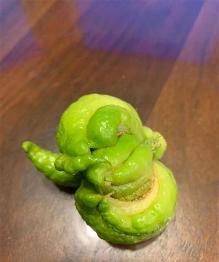 网友无意中发现的30个神奇物品,这运气爆棚啊!_东西_不知道_小时候