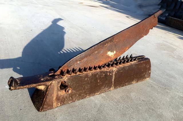 1937年,日军侵入一座小镇,进行了惨无人道的大屠杀_梅花镇_刺刀_老