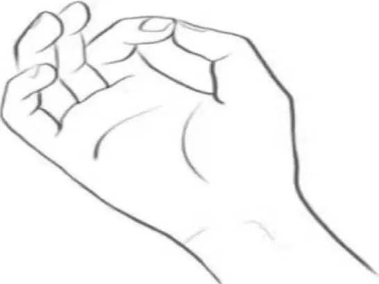 脉轮疗愈—海底轮_身体_能量_物质