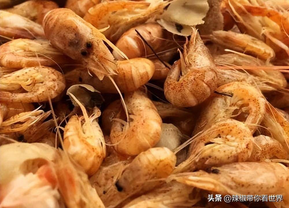 莱州月季花（莱州月季园在哪个地方） 第10张