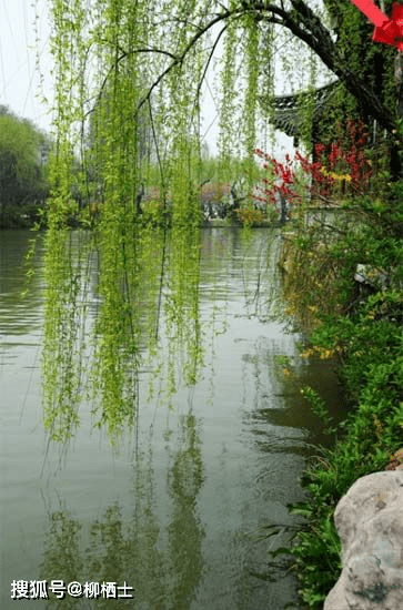 蝶恋花·春景宋代:苏轼花褪残红青杏小,燕子飞时,绿水人家绕