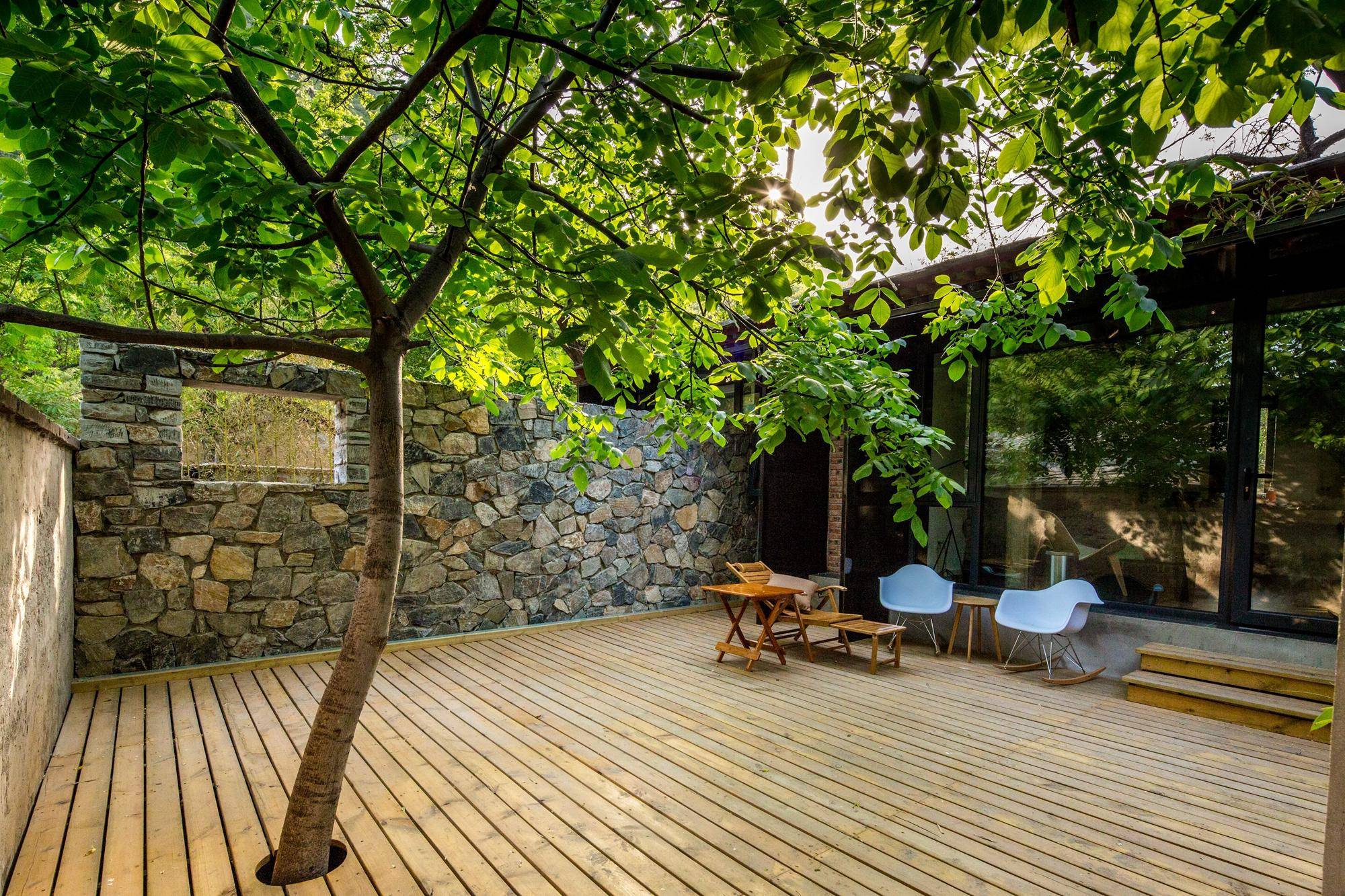 庭院种六树,子孙有富路,好吃又吉利,满树果,旺家宅_种植_院子_果树