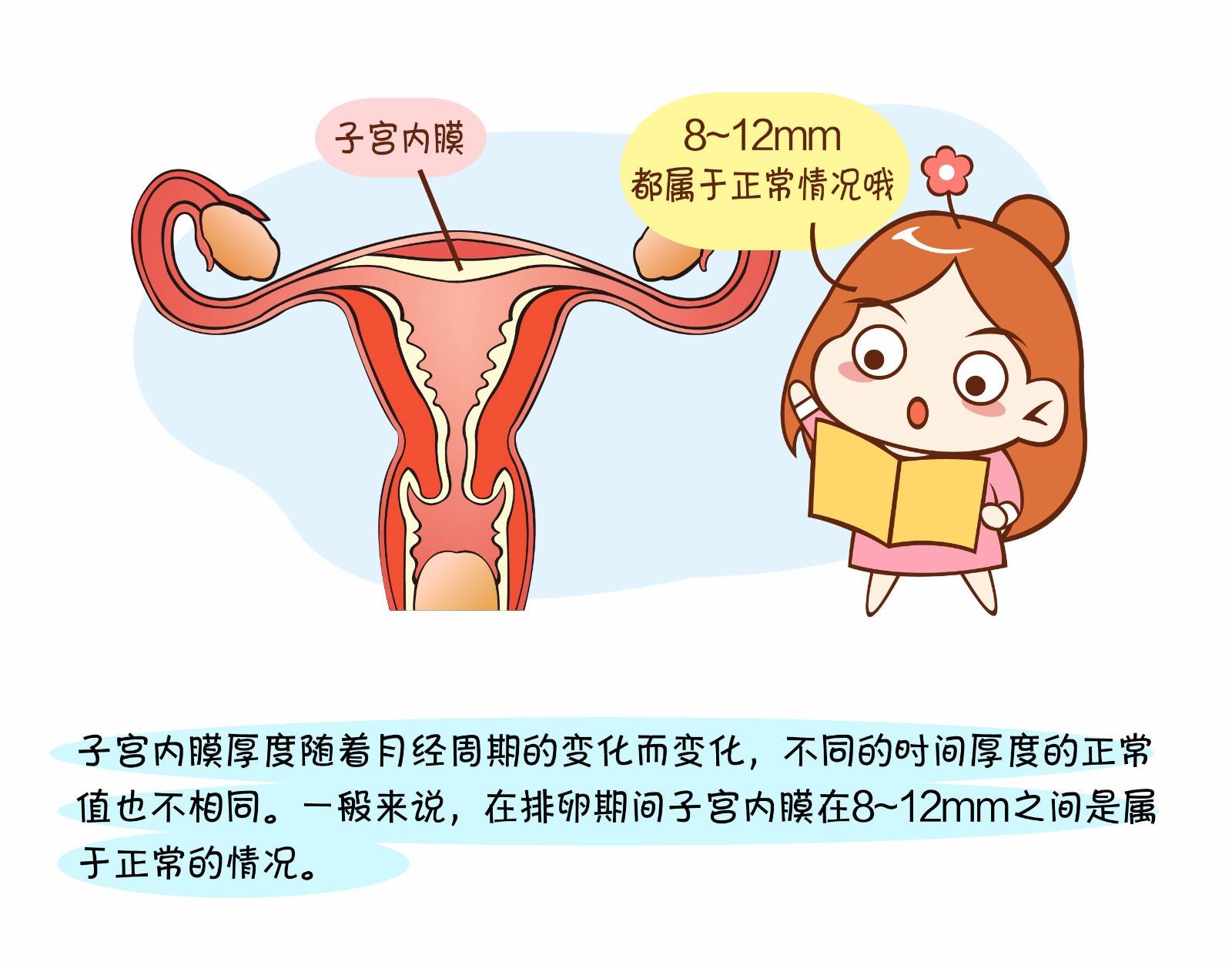 子宫内膜厚度的症状(附高低表现)
