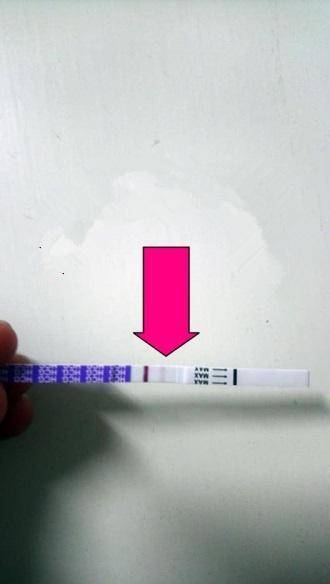 干货满满（恶搞男友怀孕验试纸）假装怀孕测试男朋友 第2张