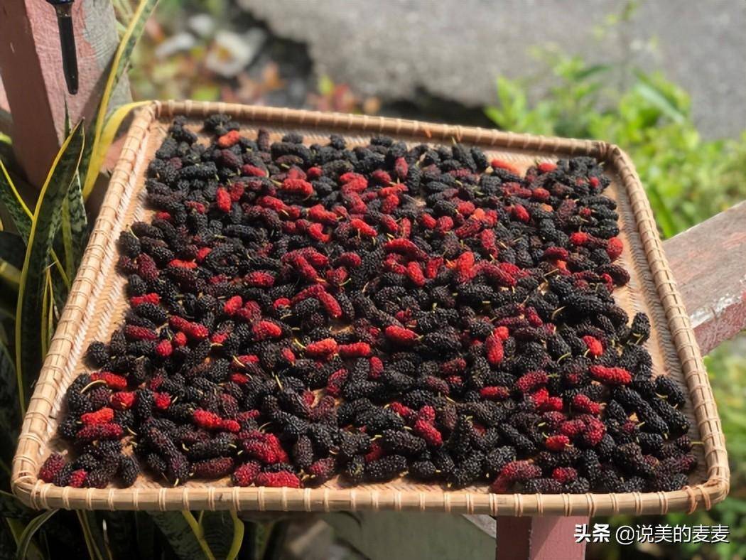 5块一斤的白发克星,这水果对头发的好处太多了_桑葚_问题_姥姥