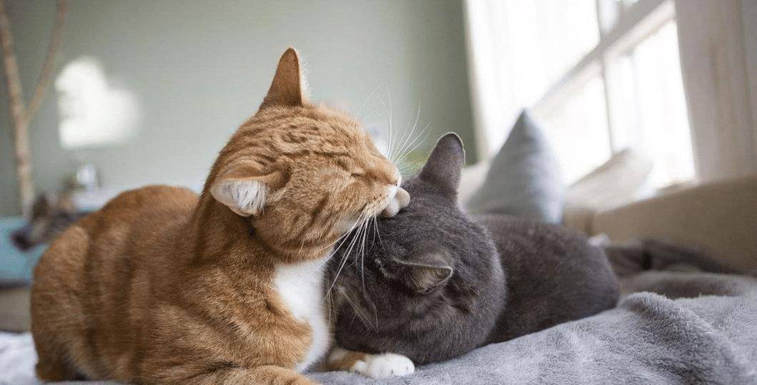 你看我,十八就有对象了,现在仨孩子,天天累地要伤.