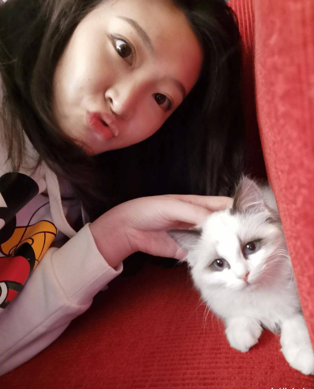 惠若琪把尴尬变幽默,大块头不仅有大智慧,还有好心态_衣服_布料_女生