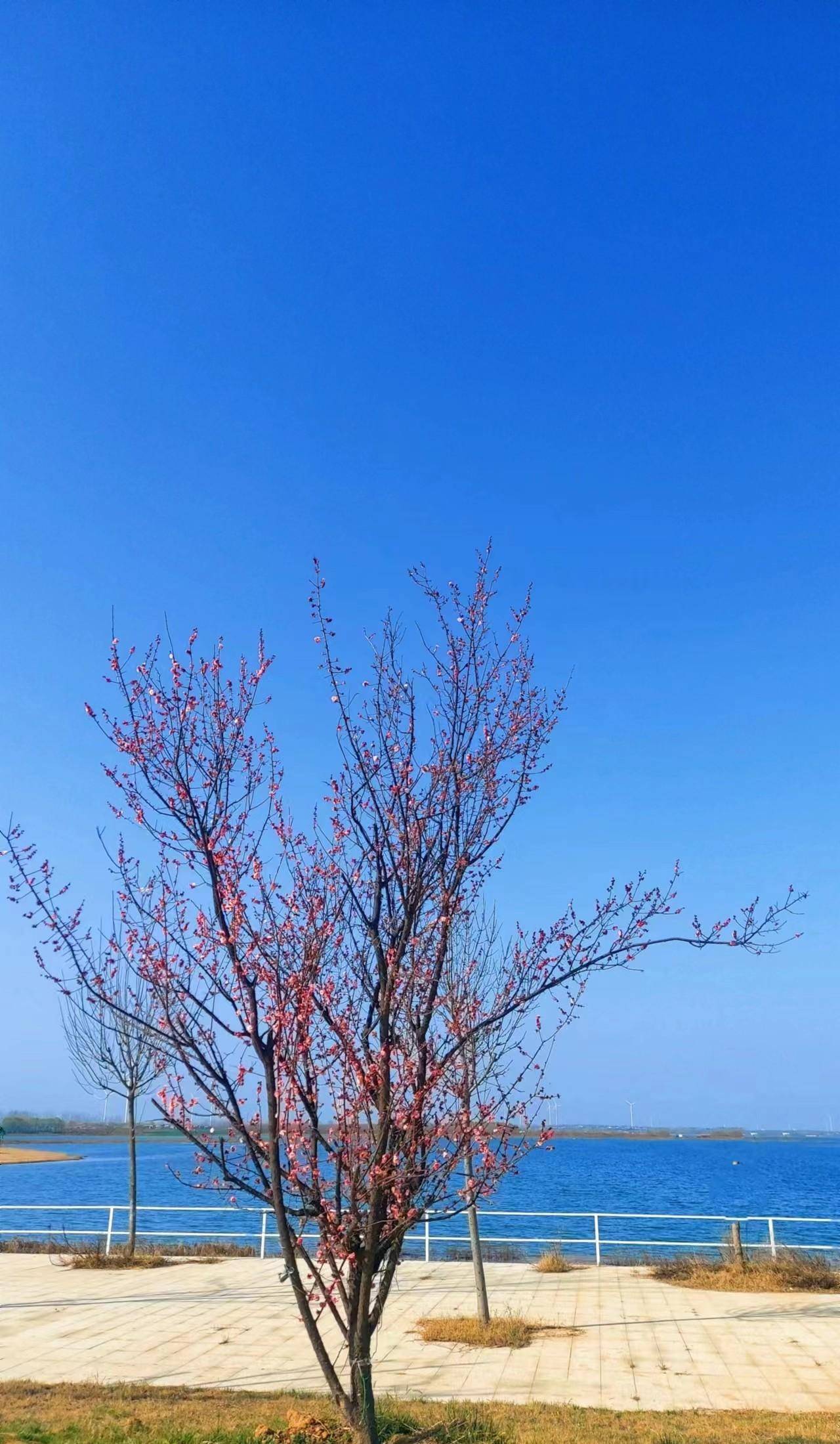 平頂山葉縣燕山水庫豫晨濱湖田園半日遊:中原小海景,春遊首選地_保安