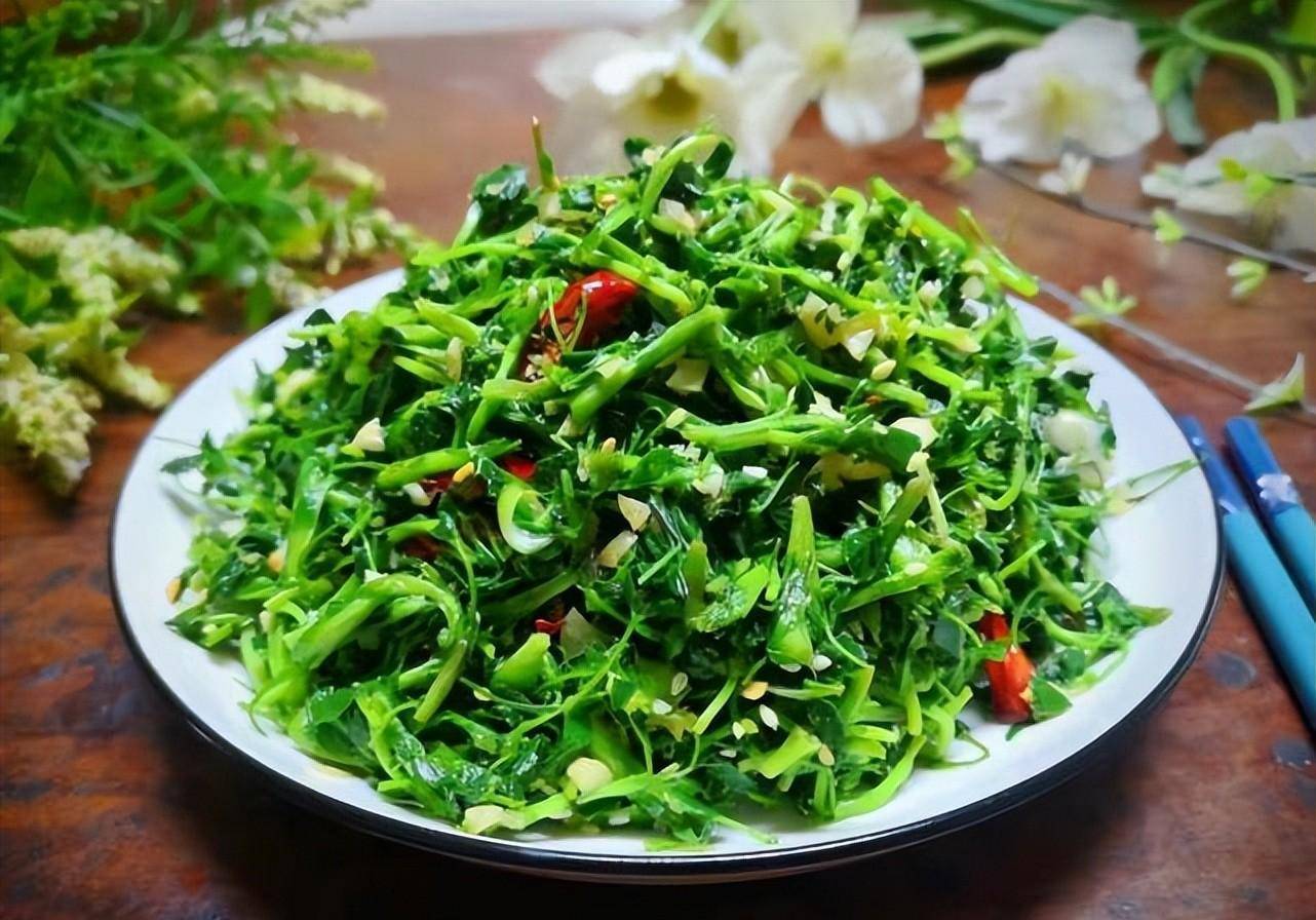 苜蓿_荠菜_香椿