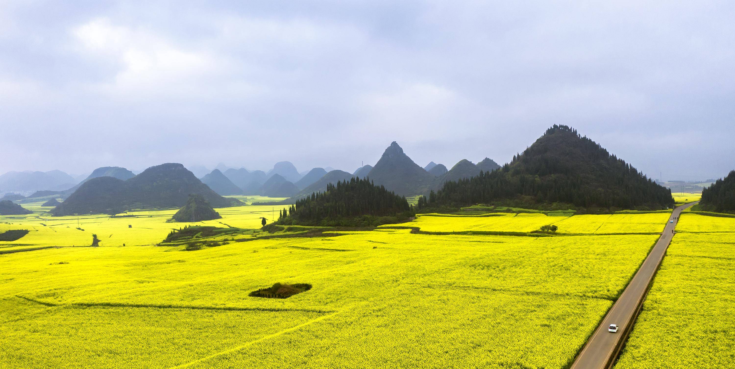 早春二月,风景这边独好,云南罗平油菜花海旅拍_牛街_金鸡_马街