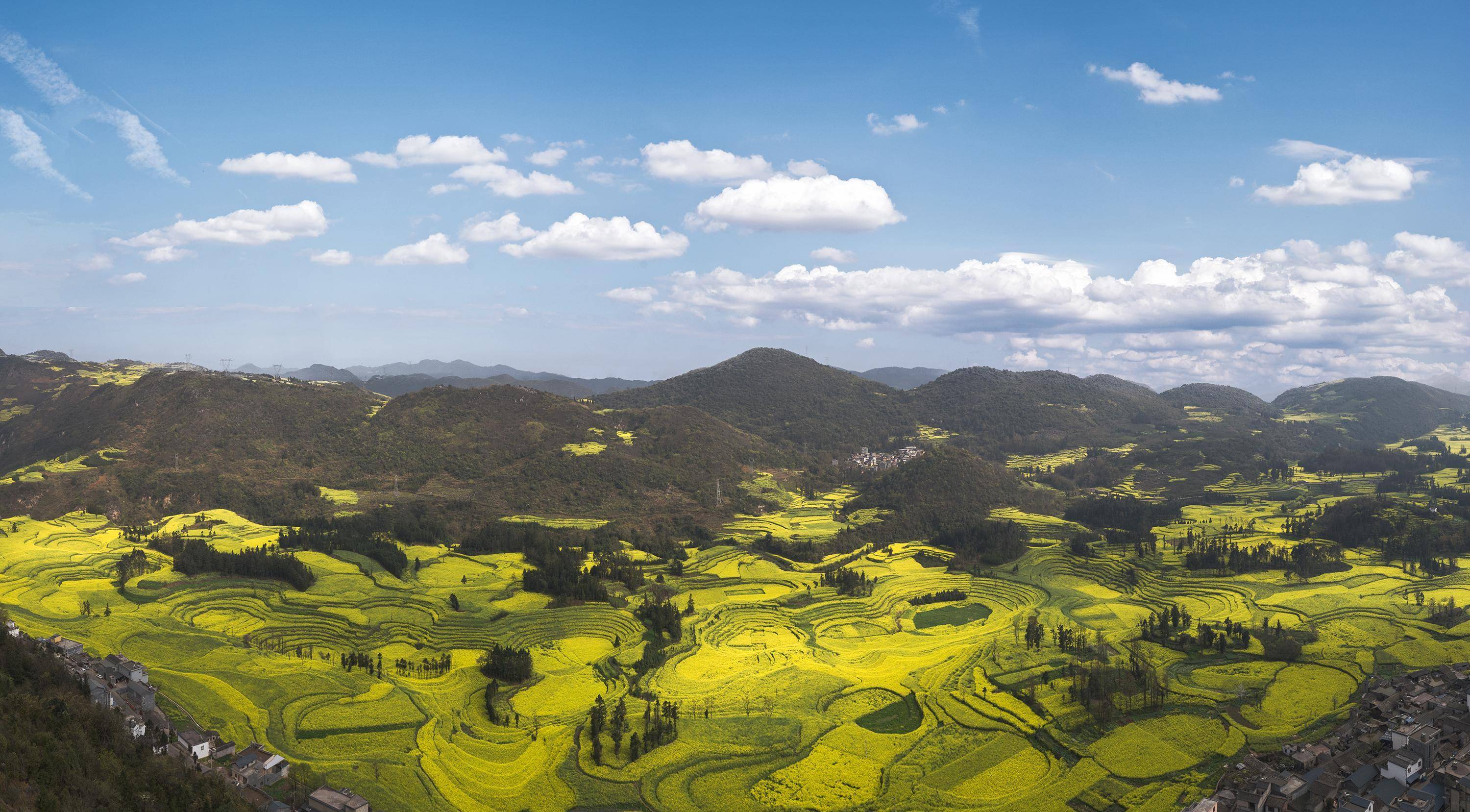 早春二月,风景这边独好,云南罗平油菜花海旅拍_牛街_金鸡_马街