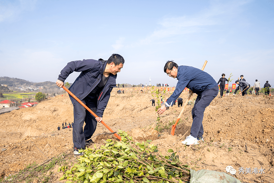 付宇等浠水县领导参加义务植树活动_油茶_全县_劳动
