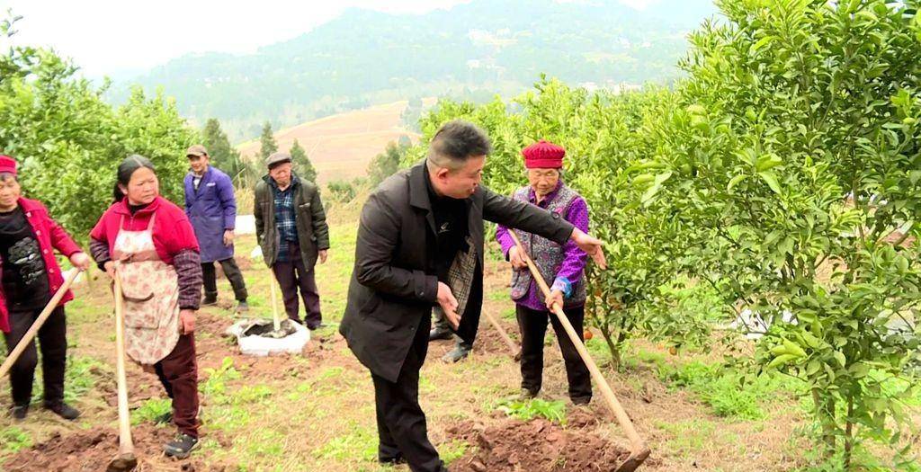 南充仪陇:助力春耕春管 5018吨生物有机肥送到田间地头_国际_何建军