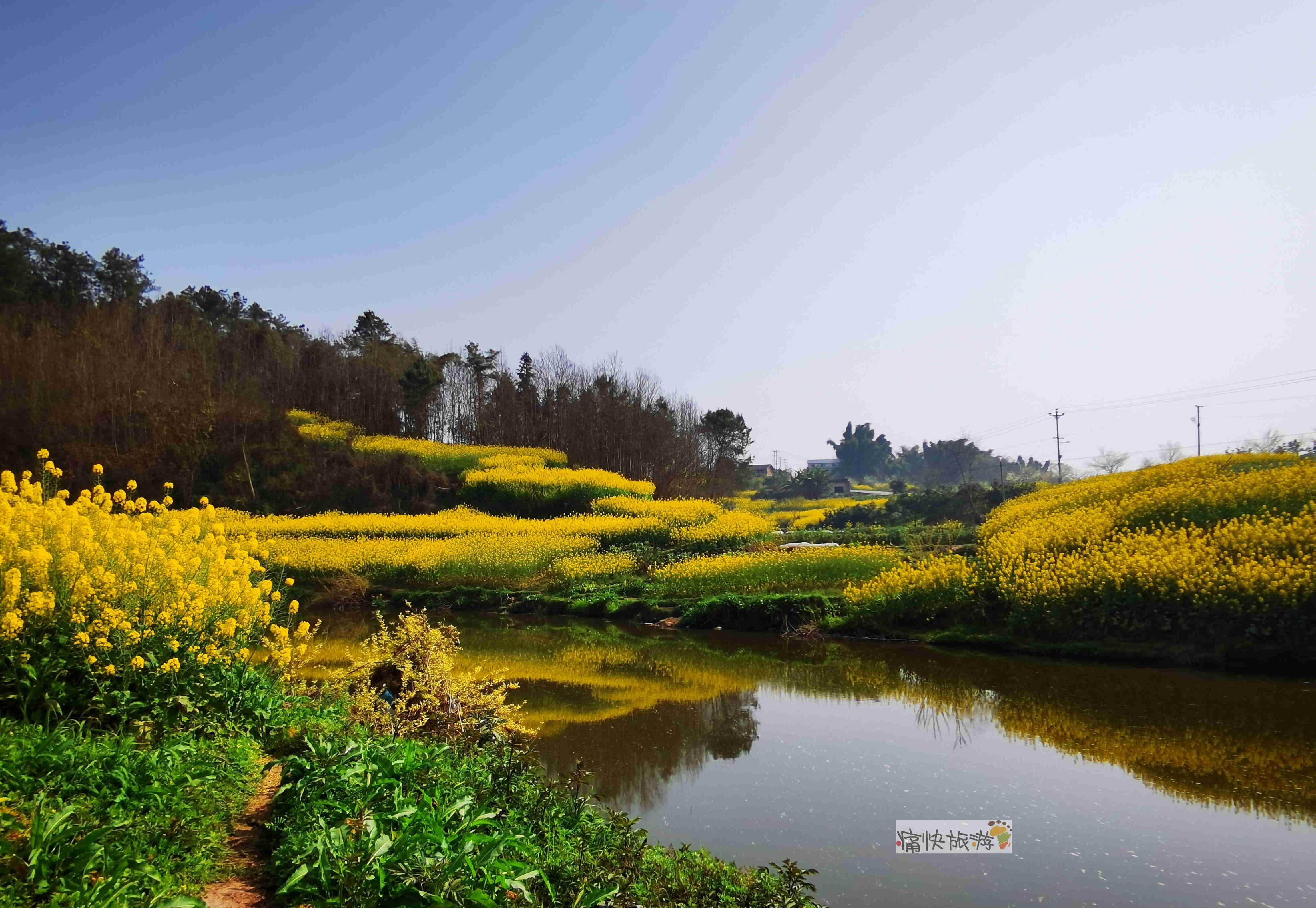 什么的春天风景美图片