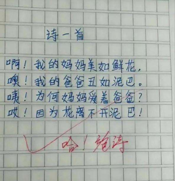 不看后悔（我的家作文）我的校园我的家作文800字怎么写 第6张