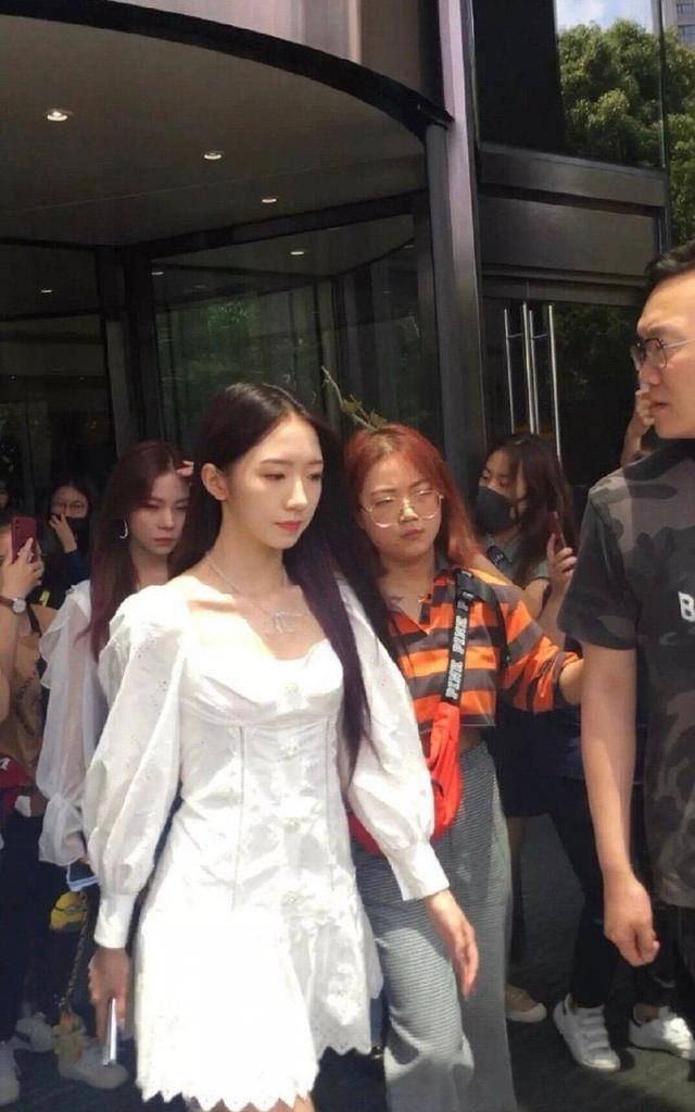 傅箐_人气_系列