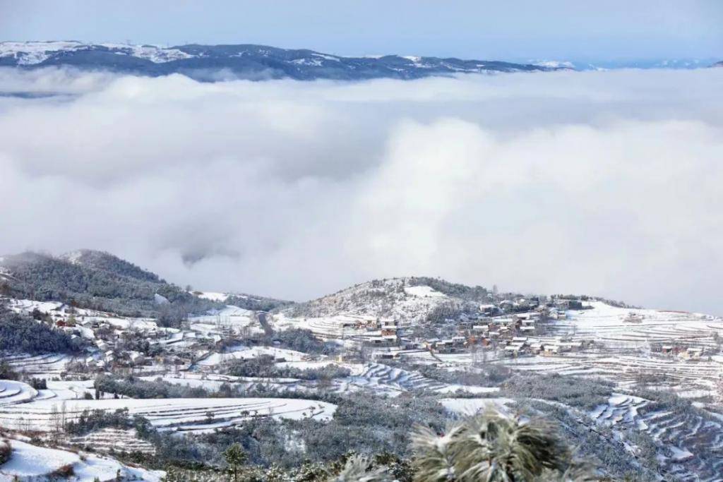 (海拉雪景 王成 摄)在农作物生产方面,威宁农业农村局相关负责人介绍