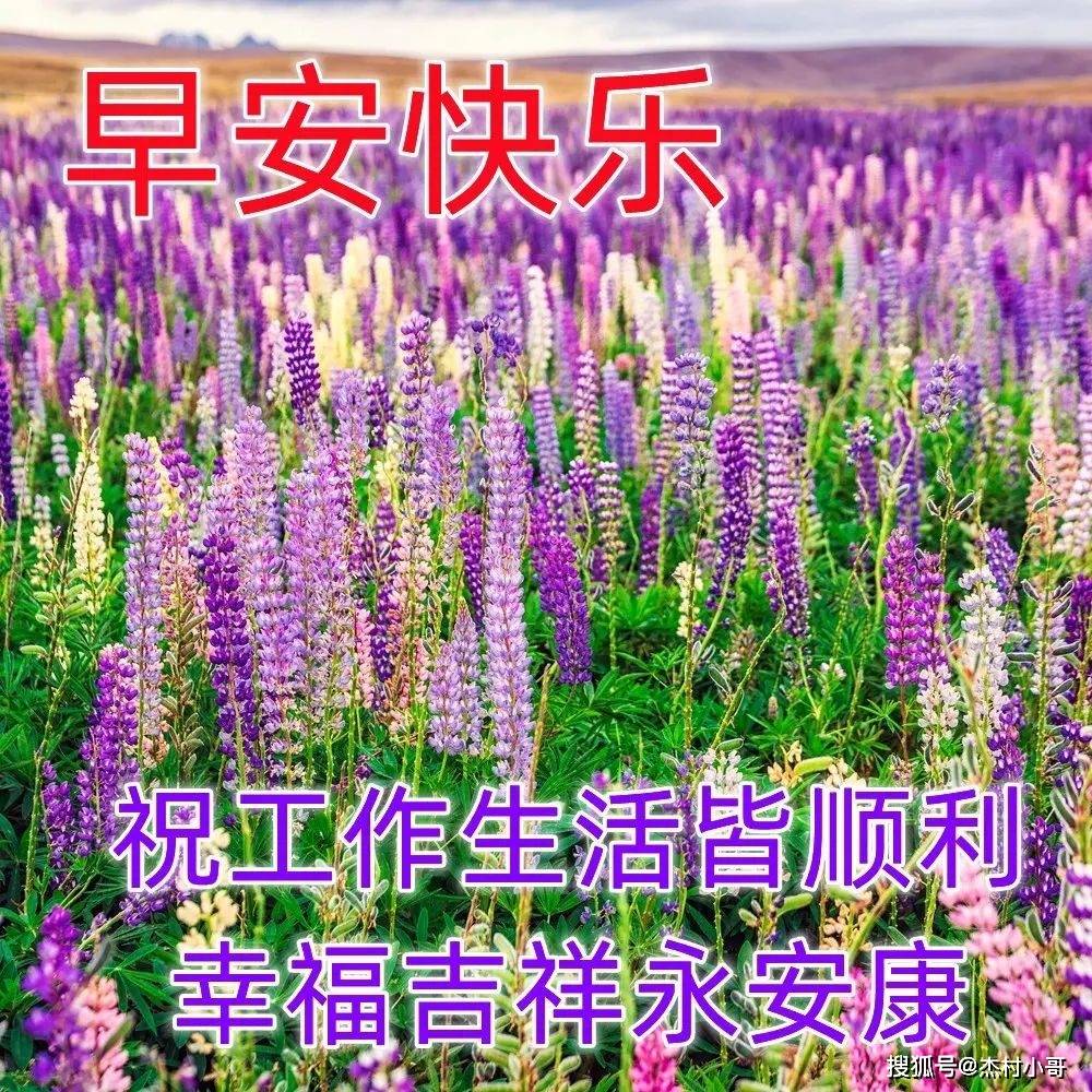 真没想到（母亲节祝福语8字短句）母亲节祝福语独特有趣的句子 第6张