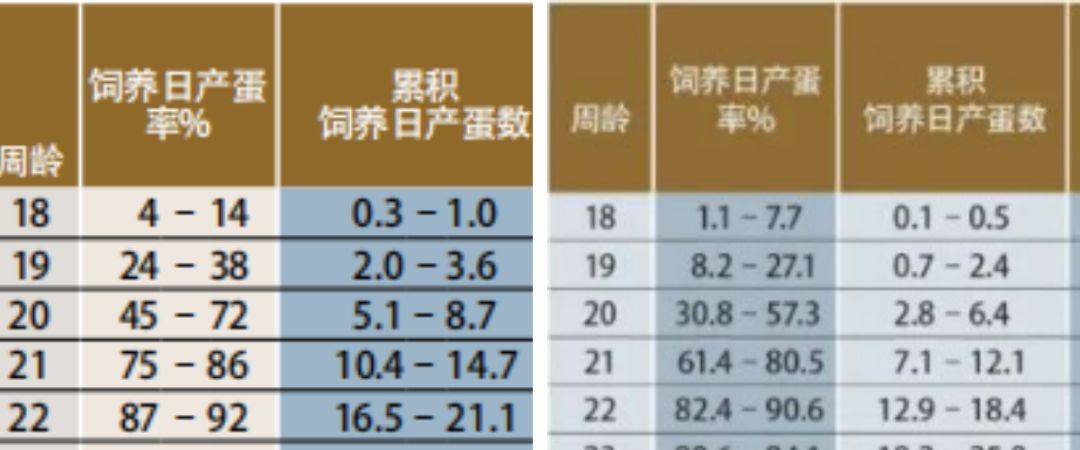 蛋鸡海兰褐体重表图片