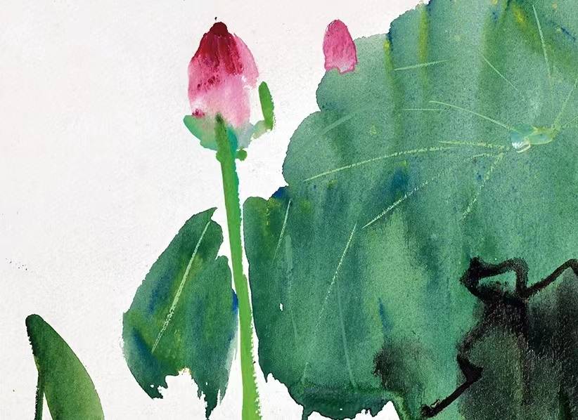 吴冠中水彩荷花挺好看的,水上水下的倒映_朝天之_风华_隐身