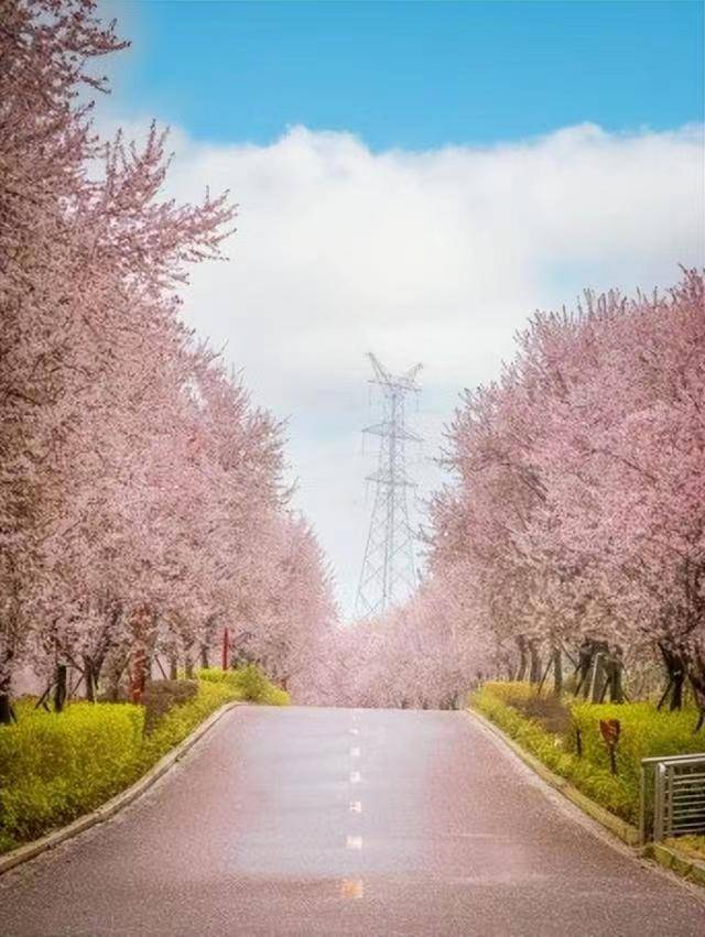 遵义深溪百草园简介图片