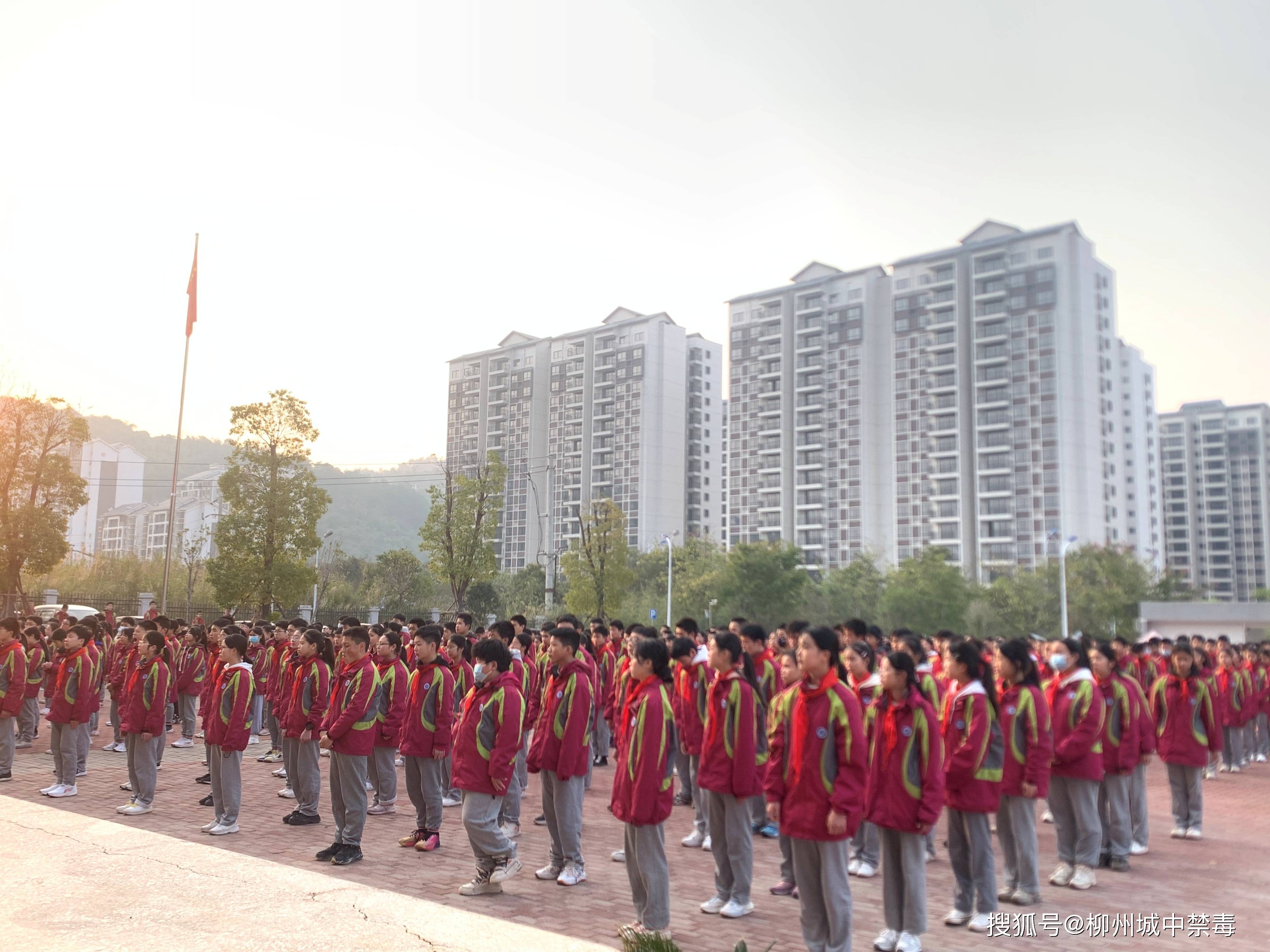 柳州马鹿山中学师资图片