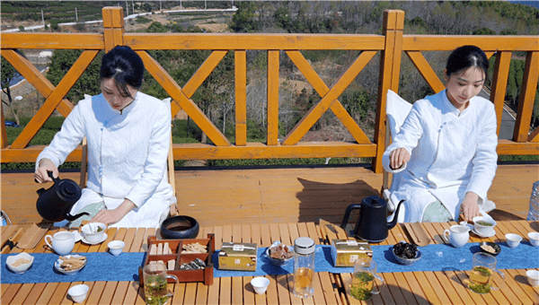 春风又绿天台山,邀你去浙江宁海桑洲镇品茶赏花