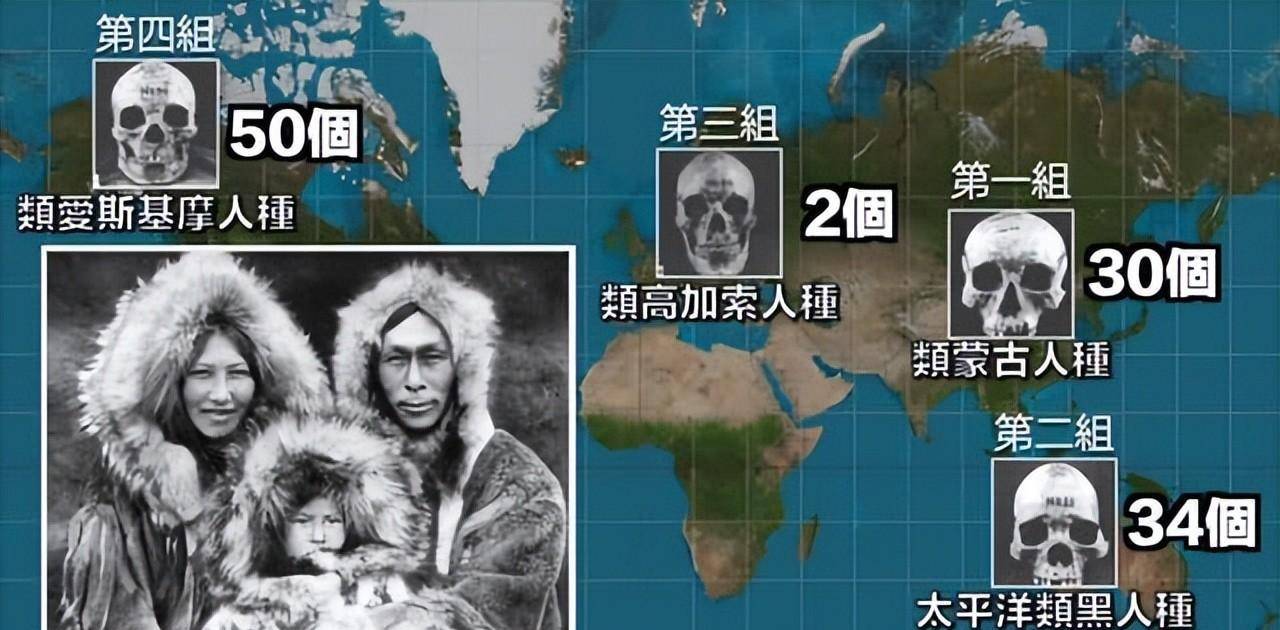 商朝的真相远不止如此_头骨_数据_龙骨