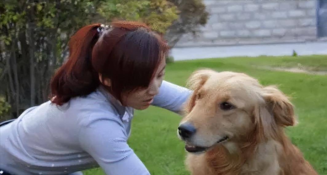 个不停,以示对你的好,如果你伸手呀者伸脚,狗狗还用舌头舔你的手和脚