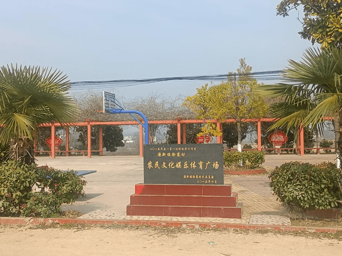 信阳市罗山县潘新镇徐寨村:打造"垄上花田" 助力乡村振兴_发展_集体