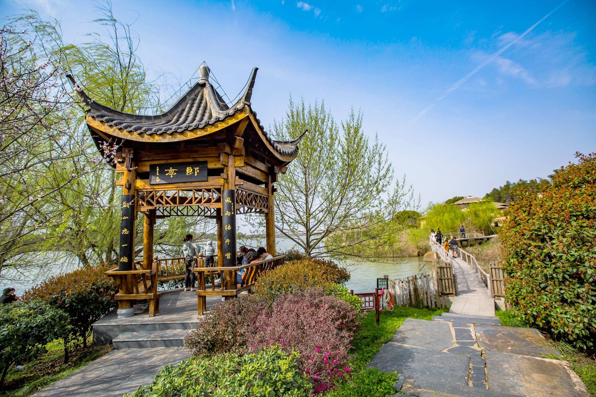 安徽池州"杏花村"的春天,充满诗情画意,吸引了众多游客来踏青_杜牧