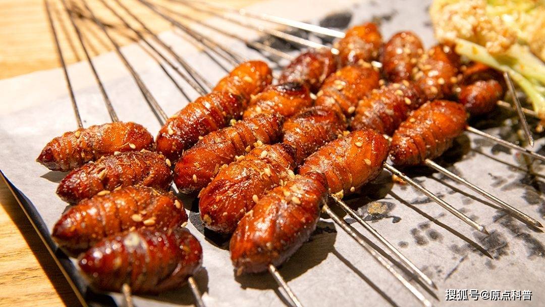 盘点中国十大奇葩烧烤,全吃过的老铁,直接可以封神_吃货_蚕蛹_知了