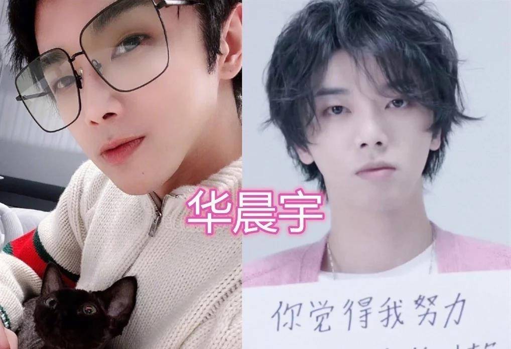 "王牌家族"写的字,贾玲的清秀,华晨宇的可爱,宋亚轩字如其人_节目