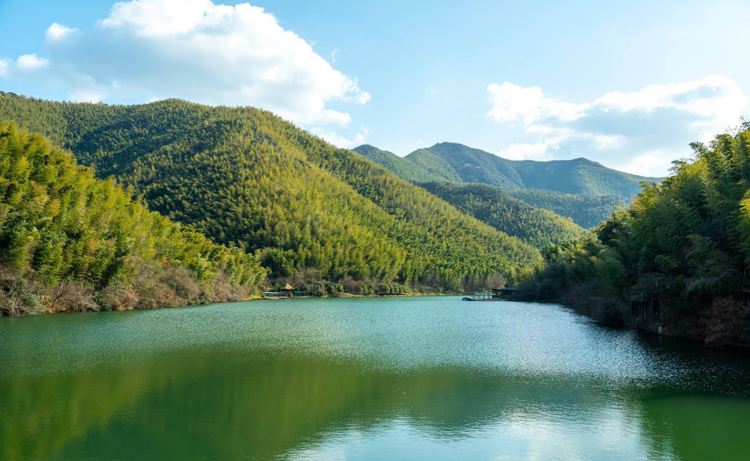 5萬畝翠竹,夢幻竹海原來如此美_溧陽_南山_竹林