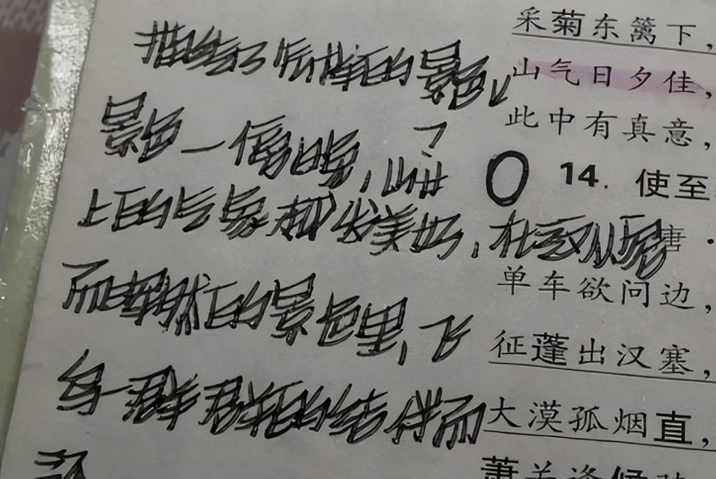 初中生“刺猬字体”走红，每一笔好像都带刺，老师看后避之不及(刺猬的字怎么读)