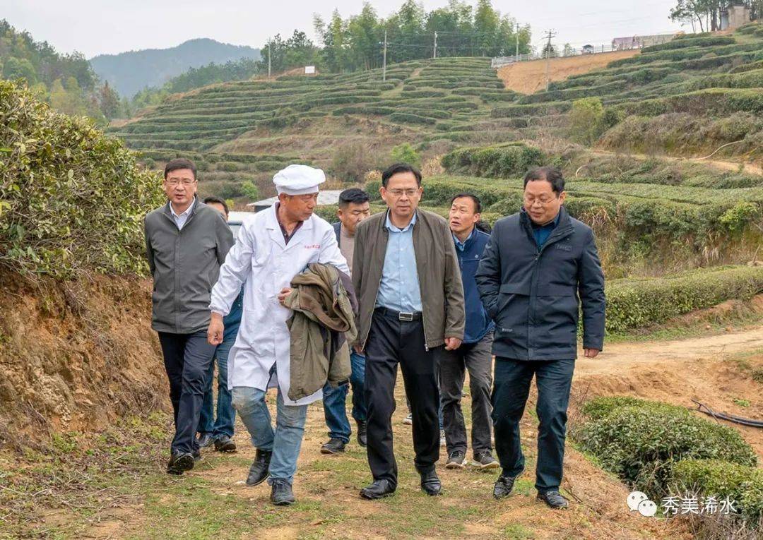 陈正红到绿杨乡调研白莲河流域综合治理和统筹发展工作_生态_浠水