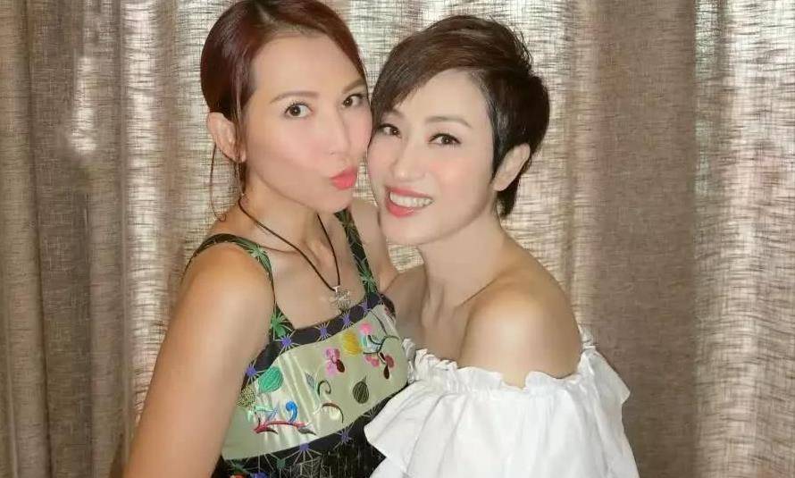 《奋斗吧主播》收官,蔡少芬和陈法蓉的神仙友谊让人羡慕_关系_节目