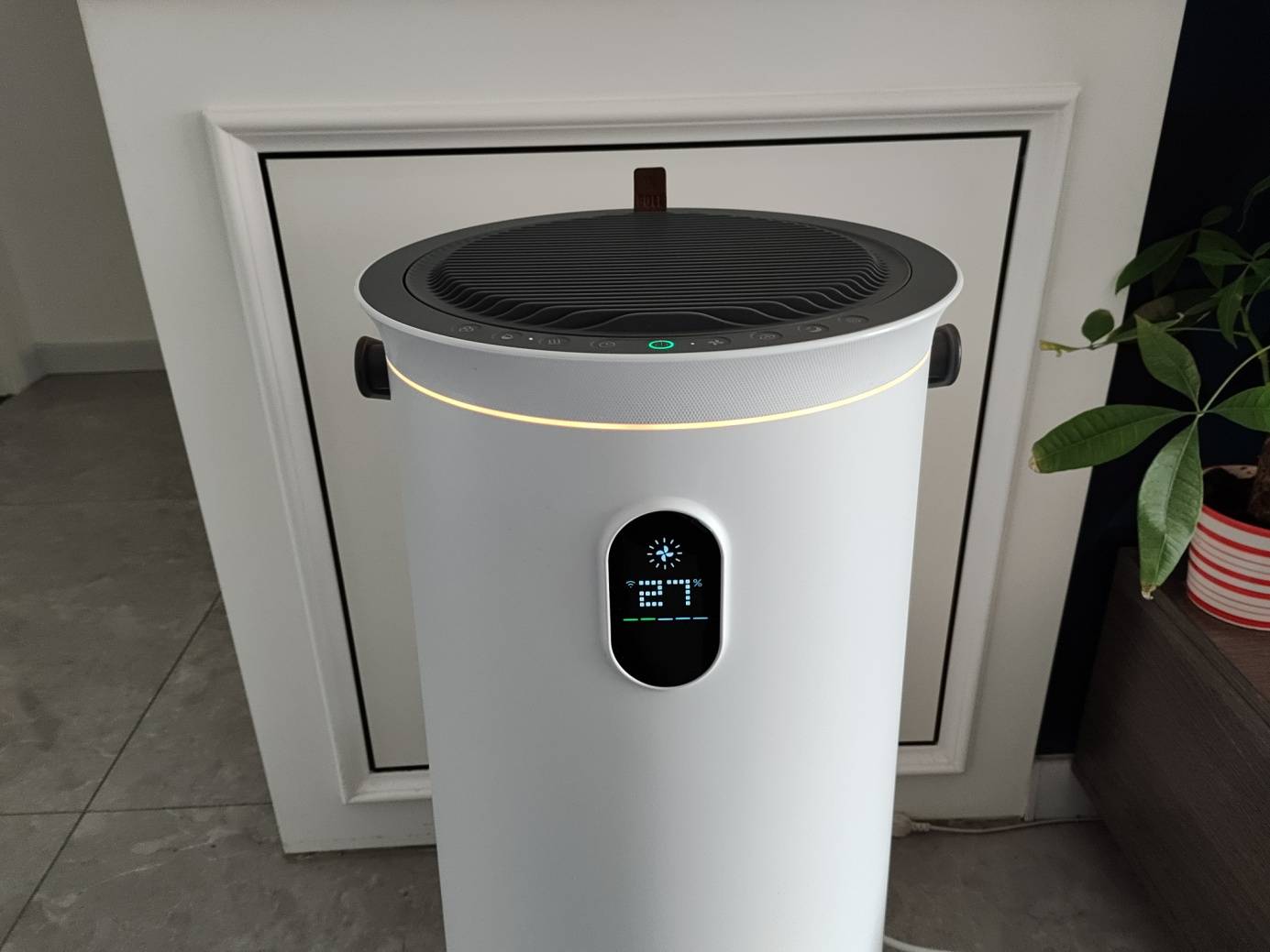 一机多用、给你置身森林的舒适-舒乐氏净化加湿器评测