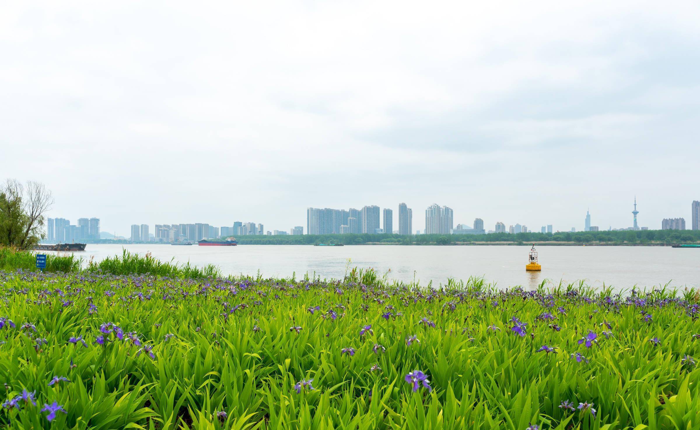 南京浦口滨江生态公园图片