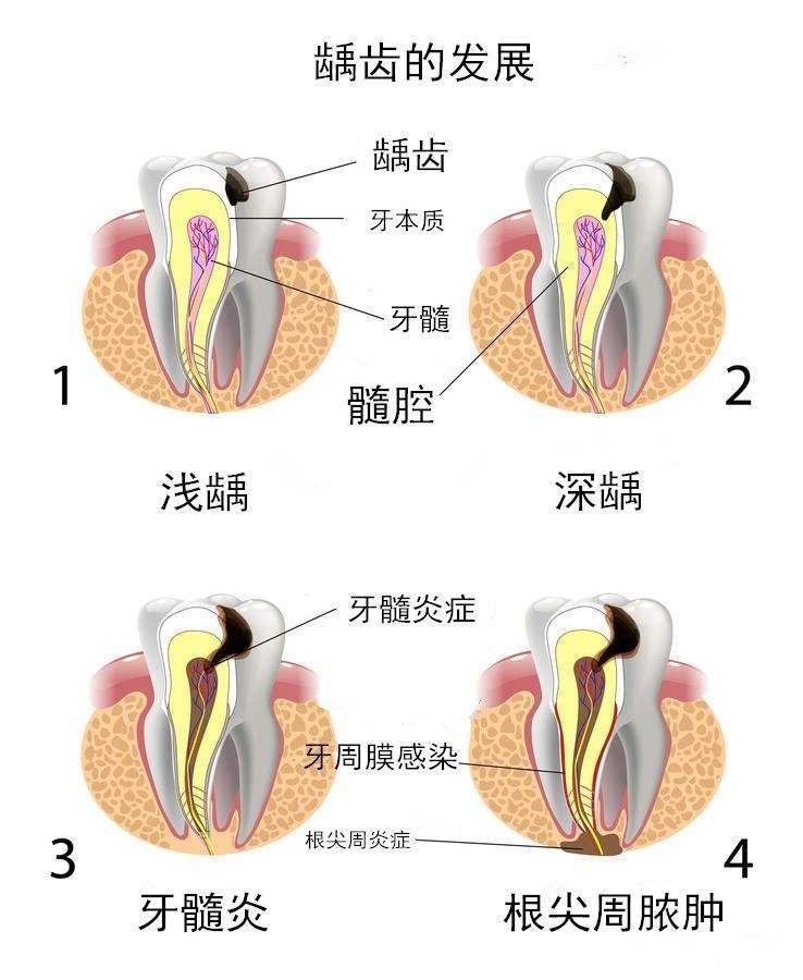 开展失信修复的方式有哪些（失信修复情况报告） 第4张