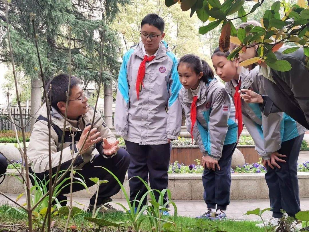 长宁区第一座校园内的"生境花园"在上海娄山中学建成_郭陶_课堂_植物