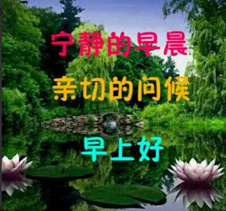 鲜花的图片（鲜花的图片大全大图） 第2张