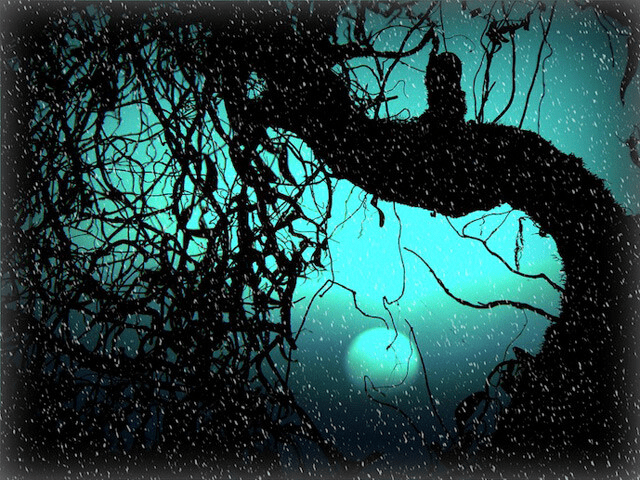 梦境迷雾，揭开梦见掉牙的深层预意与心理解析