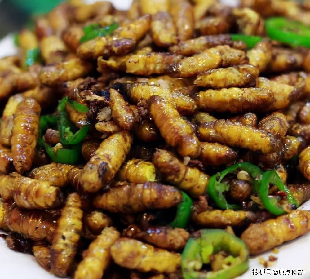 在山东人看来,蜂蛹是大自然的馈赠,油锅那么一炒,味道zer一下就上来了