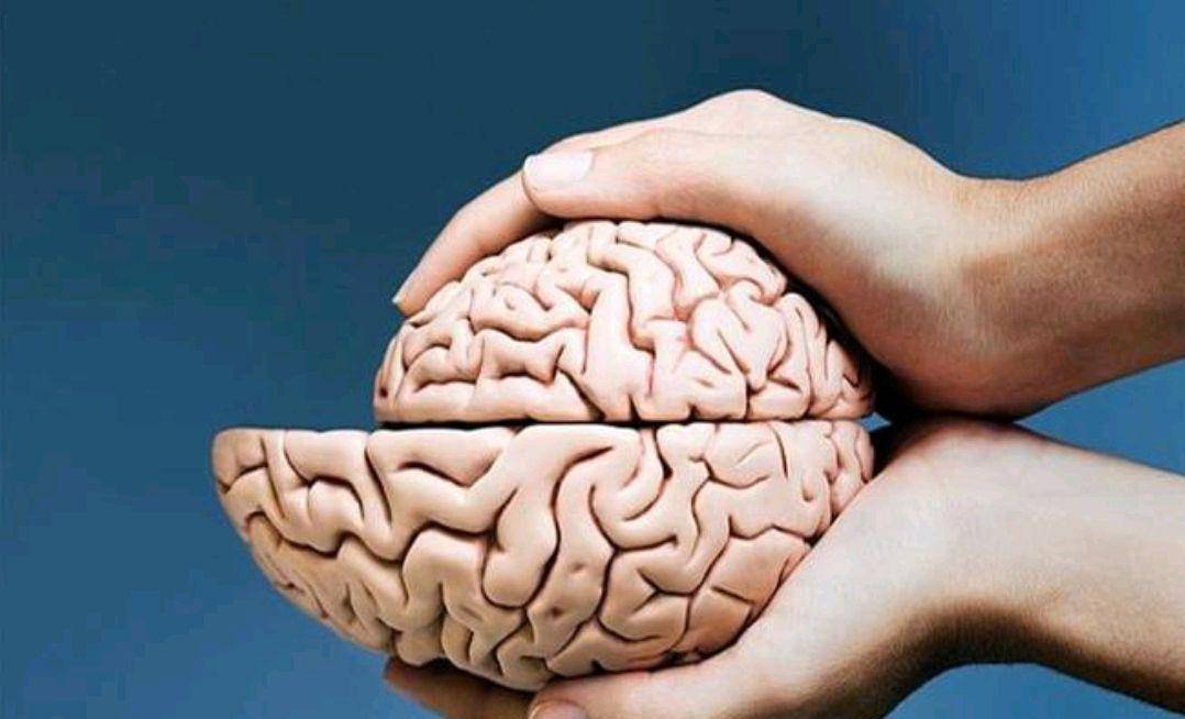 生理性的脑萎缩大多是老年人,部分年轻人因为长期饮食不当,加上现在的