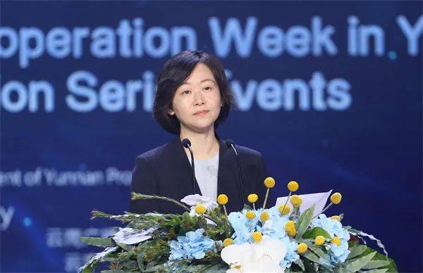 云南省人民政府外事办公室主任杨沐说,澜沧江—湄公河合作机制自2016