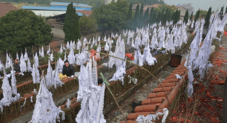 老人常说清明要扫墓上坟,可你知道扫墓"扫"些啥?上坟啥讲究?